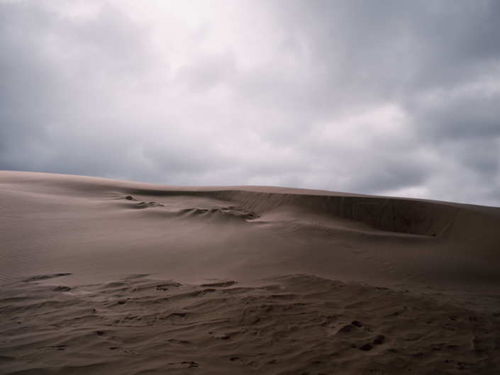 Råbjerg Mile, Dänemark Råbjerg Mile, Dänemark